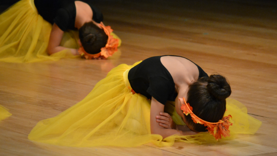 Ballet - Liceo Frances Louis Pasteur